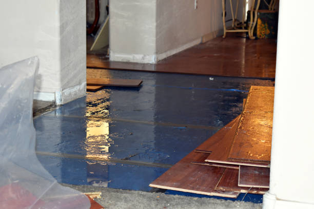 Professional Water Damage Restoration technician working in Madison, OH